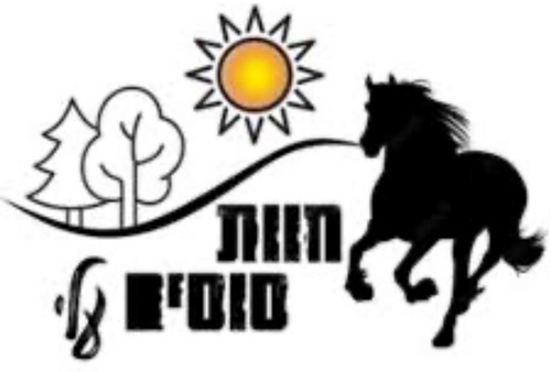 חוות סוסים עלי